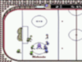 Ice Hockey