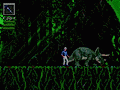 Jurassic Park