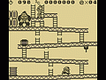 Donkey Kong