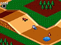 Buggy Run