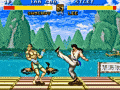 Fighter’s History