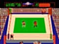 Tag Team Wrestling