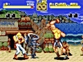 Fatal Fury