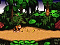 Donkey Kong Country