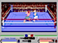 4D Sports Boxing
