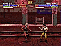Mortal Kombat 3