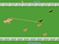 Stampede