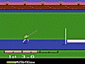 Activision Decathlon, The